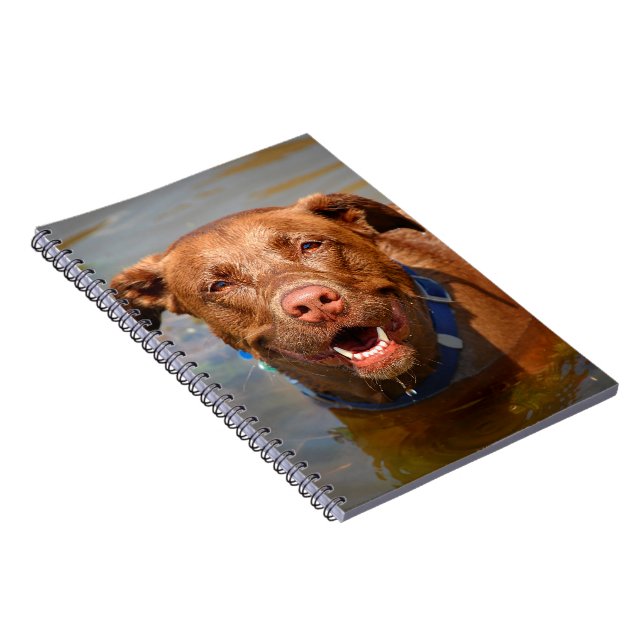 Cuaderno Chocolate Lab Pit Mix Dog Sonriendo (Lado Derecho)