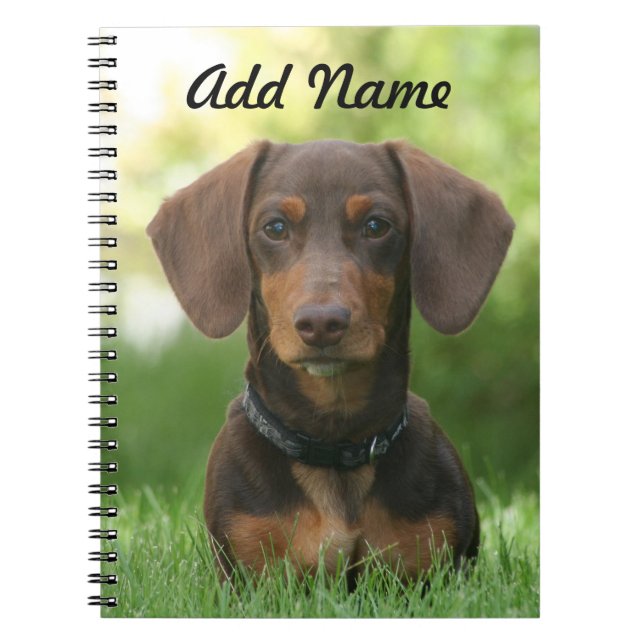Cuaderno Chocolate personalizado y Tan Dachshund - Doxie (Frente)