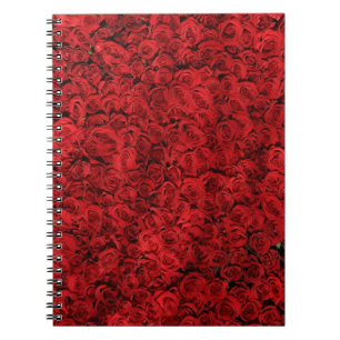 Cuaderno Choque del rosa rojo