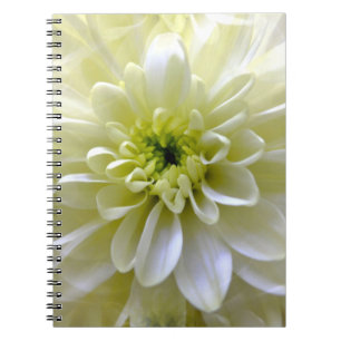CUADERNO CHRYSANTHEMUM