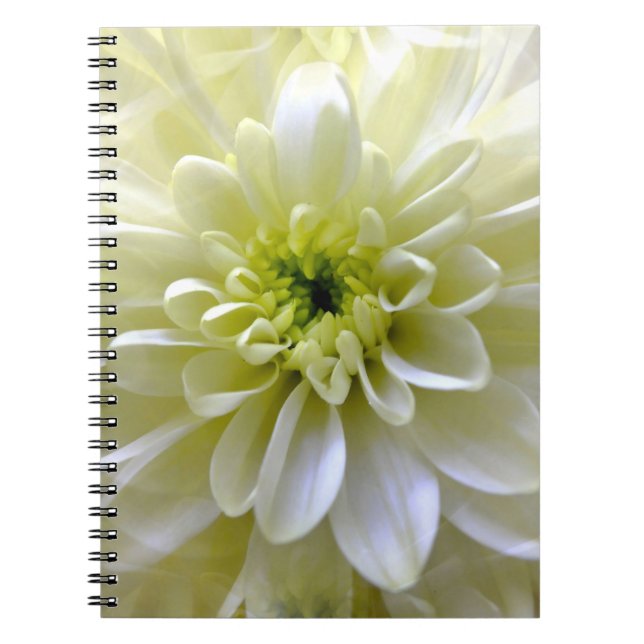 CUADERNO CHRYSANTHEMUM (Frente)