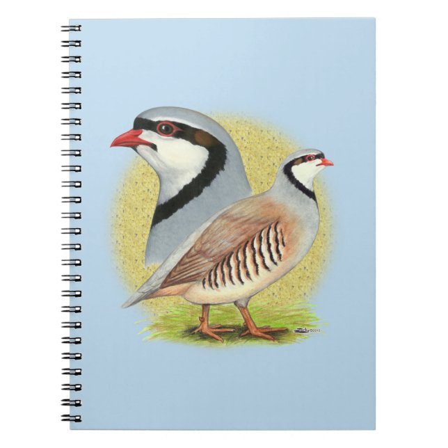 Cuaderno Chukar Partridge Combo (Frente)