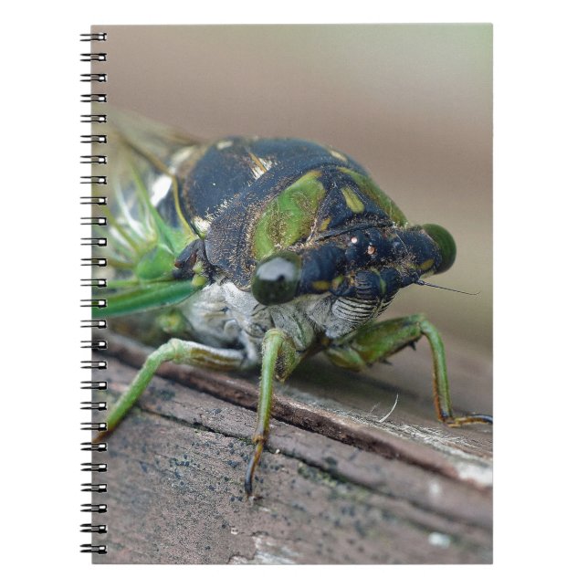 Cuaderno Cicada (Frente)