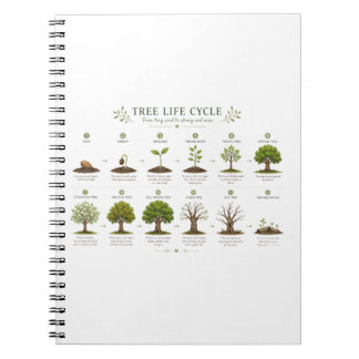 Cuaderno Ciclo de Vida del Árbol Botánico Educativo Natural