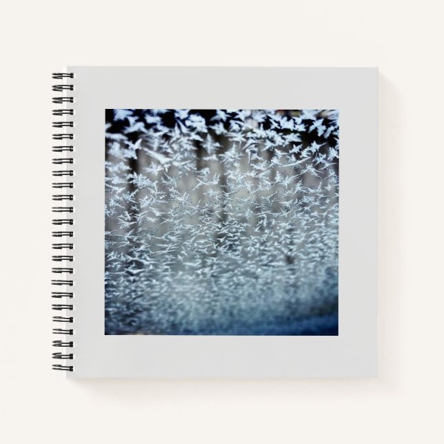 Cuaderno Ciclos de invierno (Anverso)