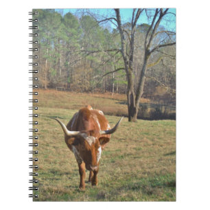 Cuaderno Cielo azul de Bull de Brown y del fonolocalizador