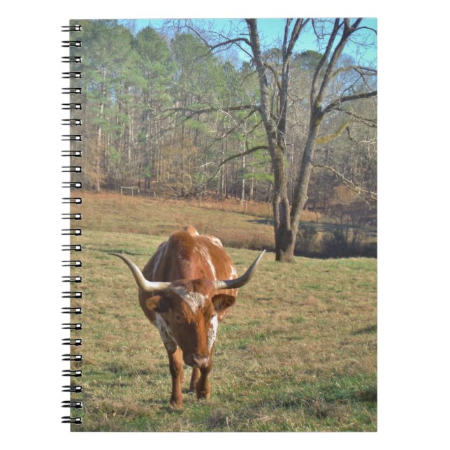 Cuaderno Cielo azul de Bull de Brown y del fonolocalizador (Frente)