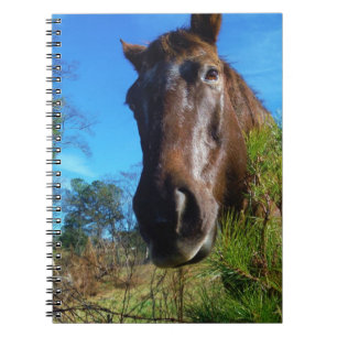 Cuaderno Cielo azul de caballo marrón y crema