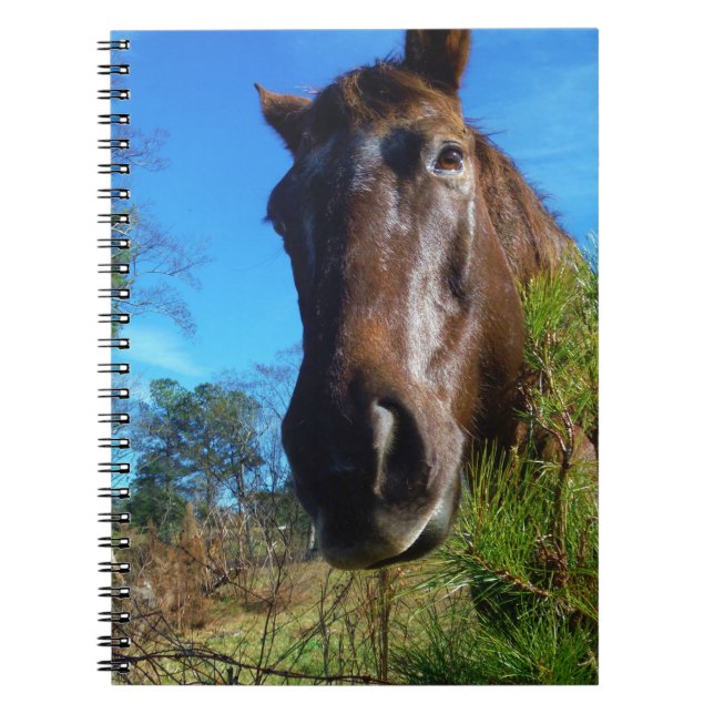 Cuaderno Cielo azul de caballo marrón y crema (Frente)