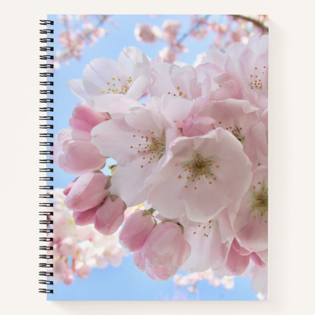 Cuaderno Cielo azul de flores rosas. (Anverso)