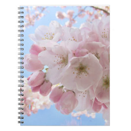 Cuaderno Cielo azul de flores rosas.