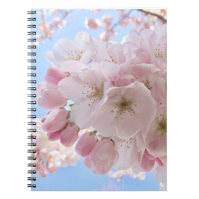 Cuaderno Cielo azul de flores rosas. (Frente)