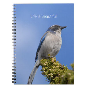Cuaderno Cielo Azul Pájaro Azul Árbol (mi fotografía)