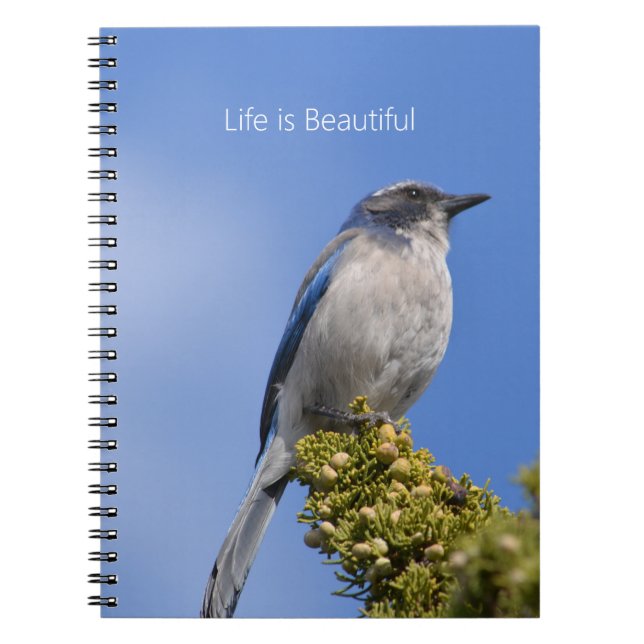 Cuaderno Cielo Azul Pájaro Azul Árbol (mi fotografía) (Frente)