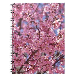 Cuaderno Cielo de flores de cerezo rosado de Sakura