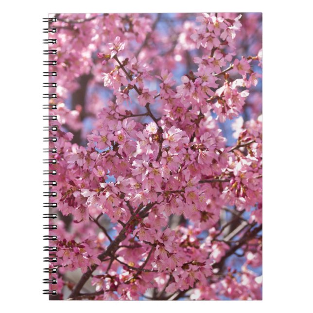 Cuaderno Cielo de flores de cerezo rosado de Sakura (Frente)