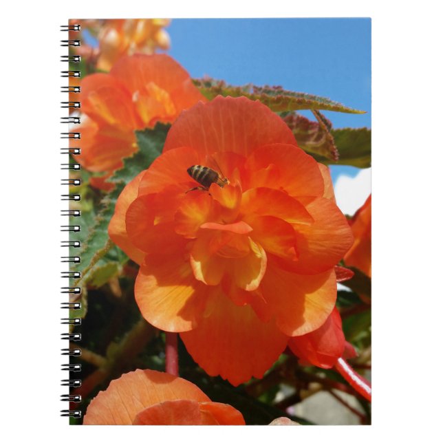 Cuaderno cielo, flores y abeja (Frente)