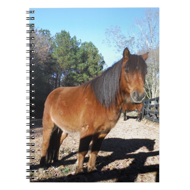 Cuaderno Cielo turquesa de pontón marrón (Frente)
