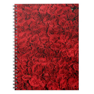 Cuaderno Cientos de hermosas rosas rojas