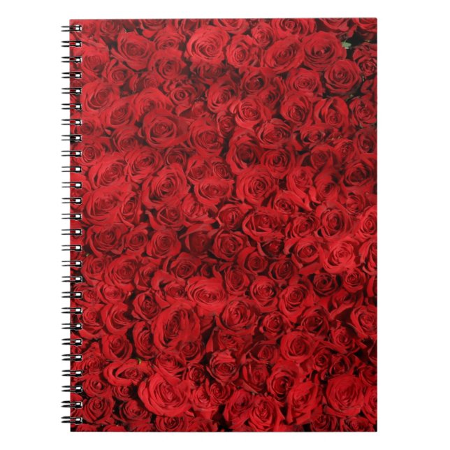Cuaderno Cientos de hermosas rosas rojas (Frente)