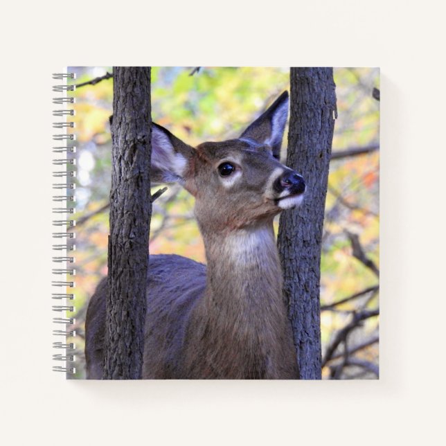 Cuaderno Cierre Cute Deer (Anverso)