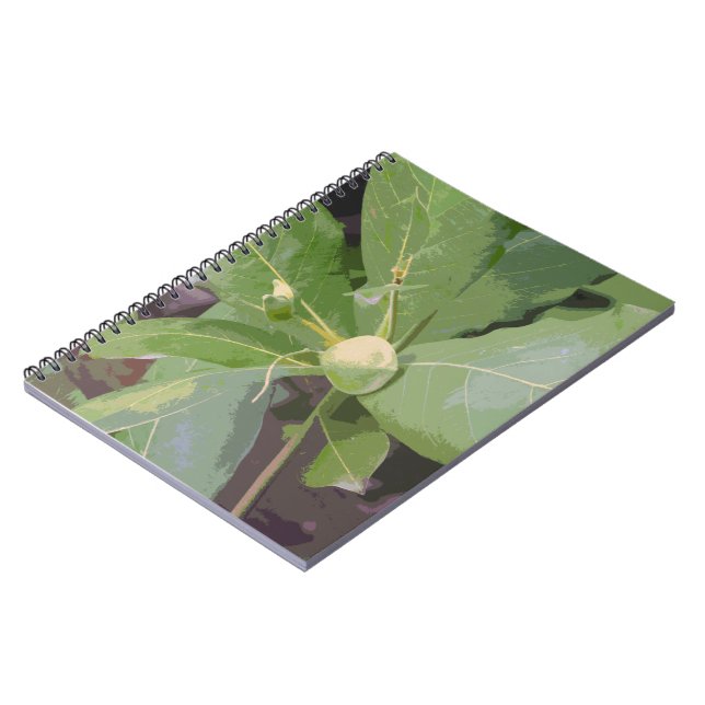 Cuaderno Cierre de árbol de almendras (Lado Izquierdo)