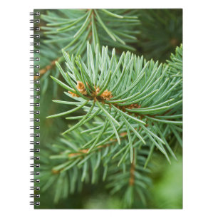 Cuaderno Cierre de árbol de pino