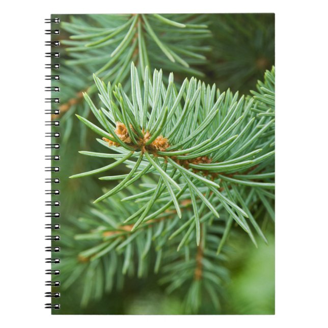 Cuaderno Cierre de árbol de pino (Frente)