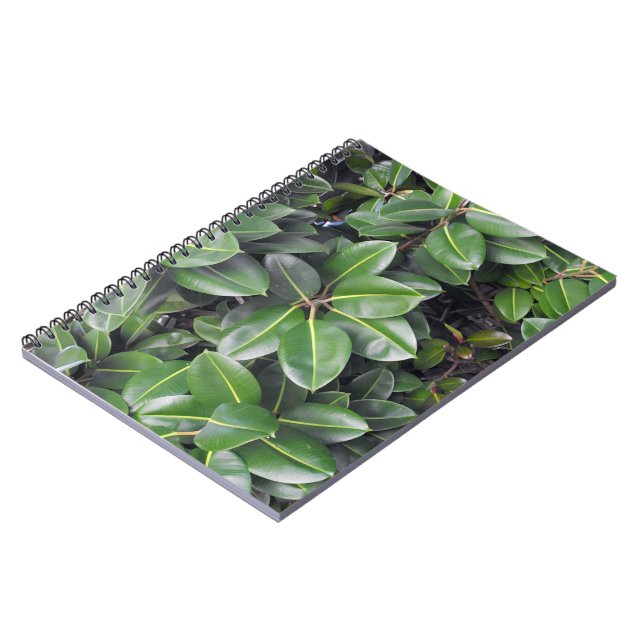 Cuaderno Cierre de árboles de goma (Lado Izquierdo)