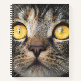 Cuaderno Cierre de gato con ojos amarillos