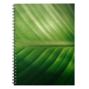 Cuaderno Cierre de la hoja verde