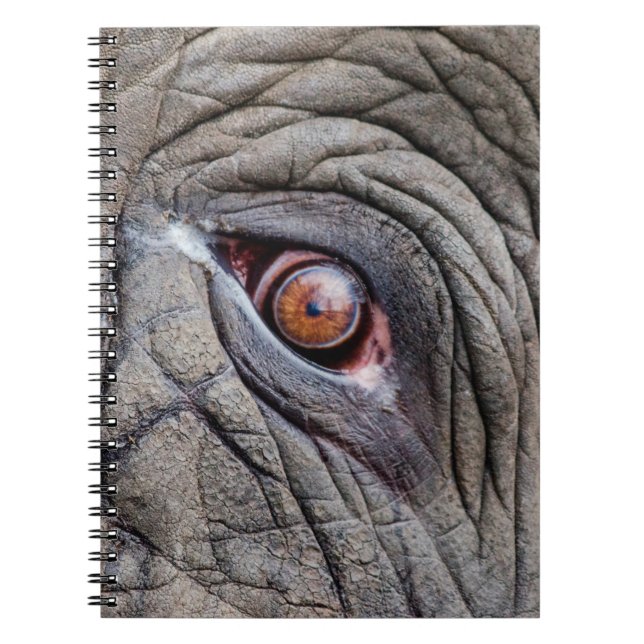 Cuaderno Cierre de los ojos de elefantes animales (Frente)