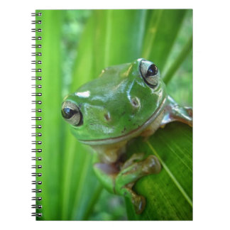Cuaderno Cierre de mirada lindo de la rana arbórea para