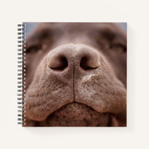 Cuaderno Cierre de Nose de Labrador de Chocolate