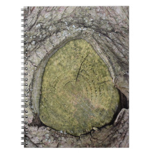 Cuaderno Cierre de rama de árbol