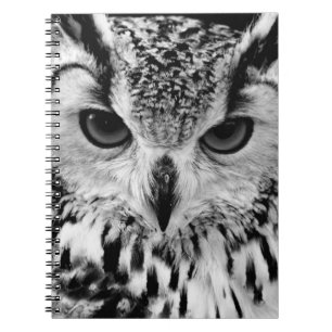 Cuaderno Ciérrese encima del retrato del Eagle-búho
