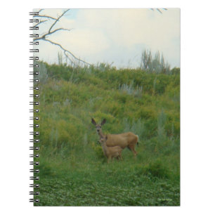 Cuaderno Cierva Mula Doe y Cría