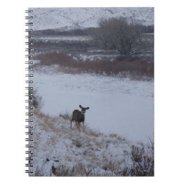 Cuaderno Cierva Mula Hembrra D16 en Valle del Río