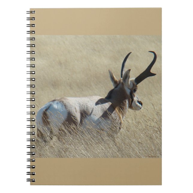 Cuaderno Ciervo Becerro A14 Sunshine Buck (Frente)