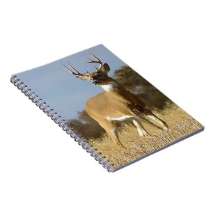 Cuaderno Ciervo de cola blanca de otoño