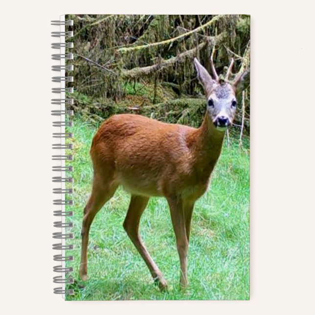 Cuaderno Ciervo Macho de Corzo Paisaje Rural Animal (Anverso)