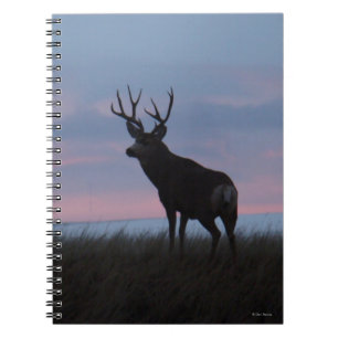 Cuaderno Ciervo Mula D3 Macho Amanecer Ciervo