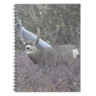 Cuaderno Ciervo Mula Macho D32