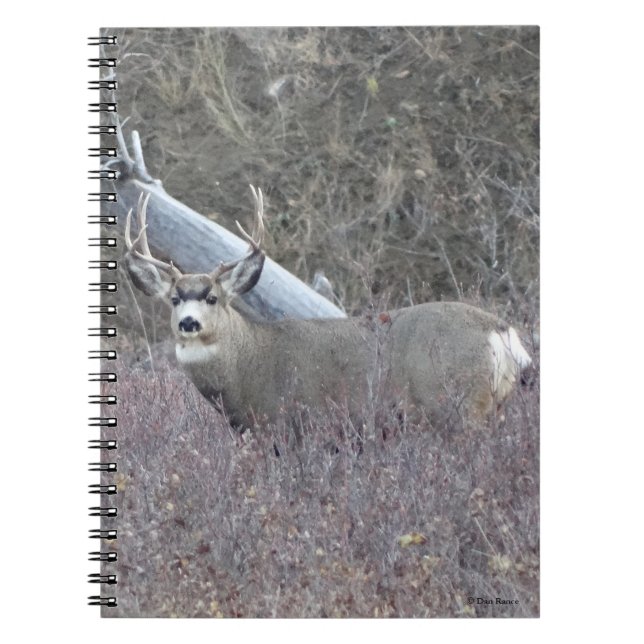 Cuaderno Ciervo Mula Macho D32 (Frente)
