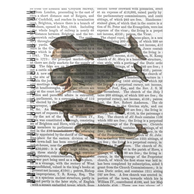 Cuaderno Cinco ballenas de época (Frente)