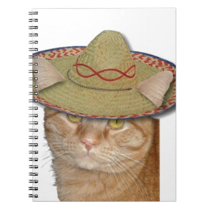 Cuaderno Cinco de Gato