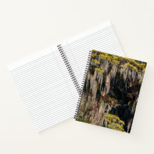 Cuaderno Ciprés de estanque en pantano inundado