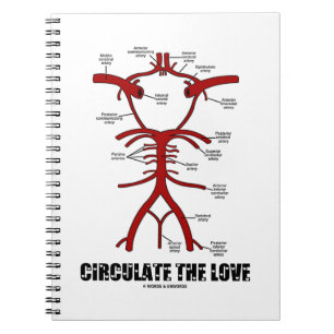 Cuaderno Circule el amor (el círculo de Willis)