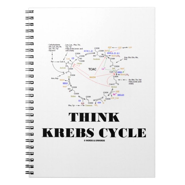 Cuaderno Círculo de Krebs Ciclo de Ácido Cítrico - TCAC (Frente)