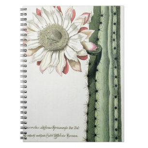 Cuaderno Cirio Erectus Altissimus Syrinamensis de 'Phyth